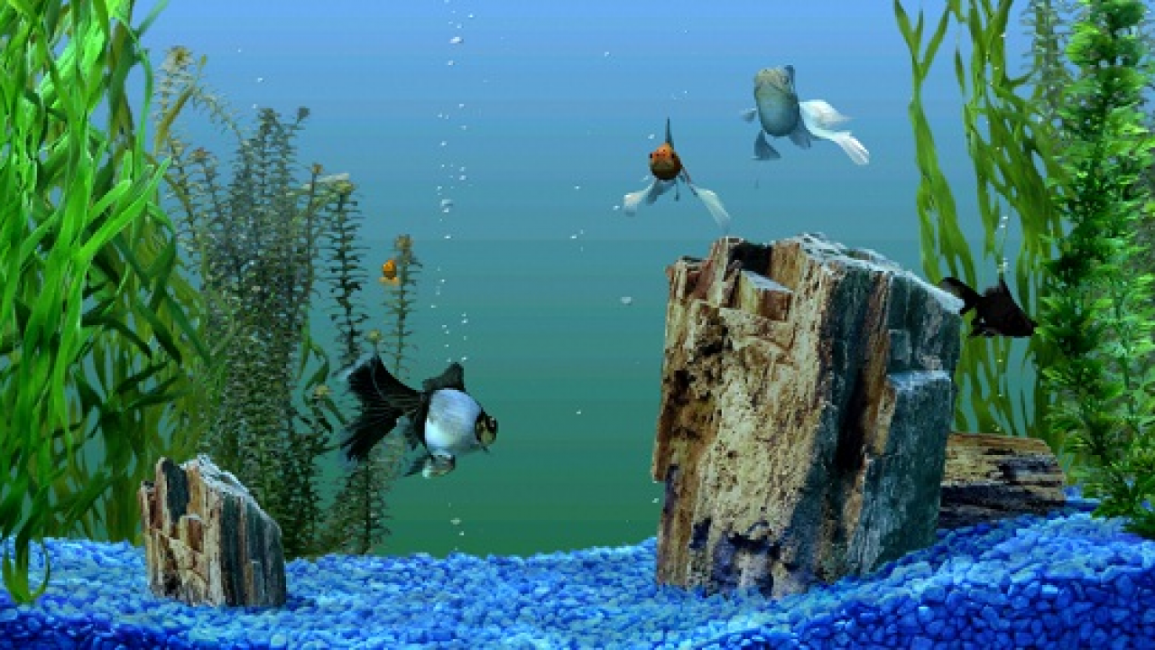 Phong nền bể cá: Bể cá của bạn sẽ trở nên thú vị hơn với phong cảnh bể cá đẹp mắt. Với phong nền bể cá, bạn có thể tạo ra một không gian yên tĩnh và thư thái cho bể cá của mình.